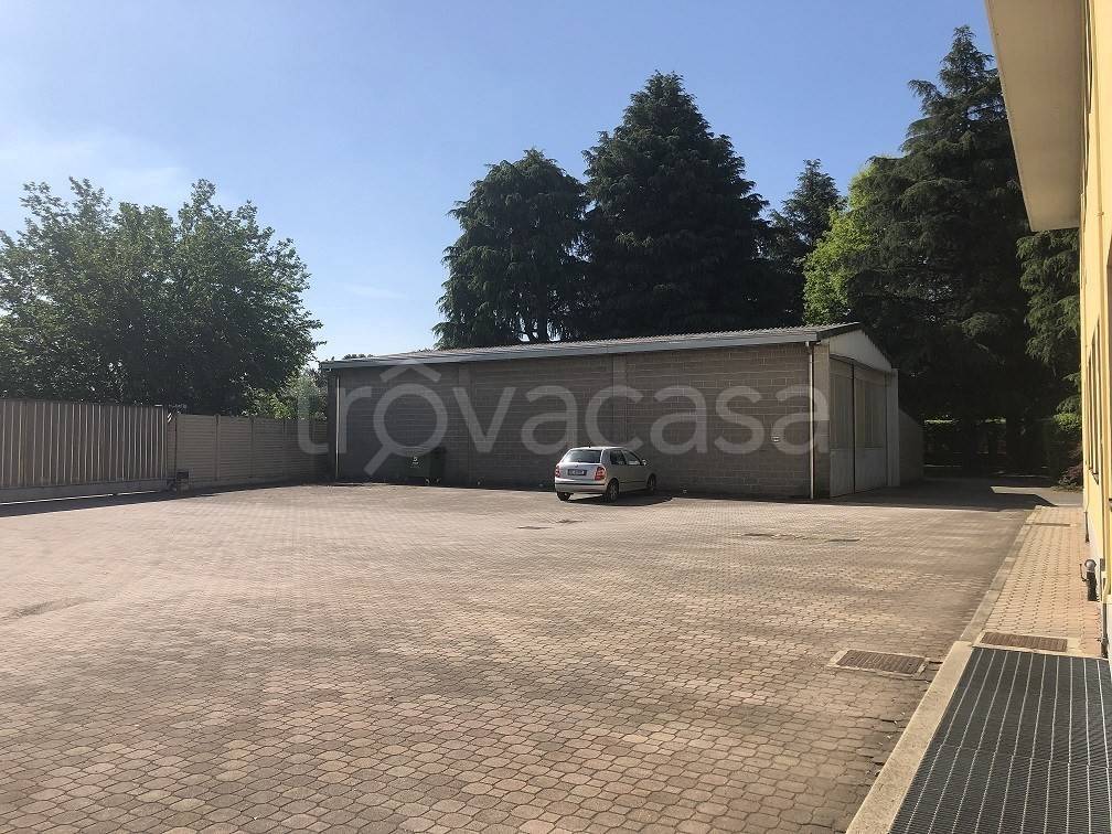 immagine annuncio 2 di 12