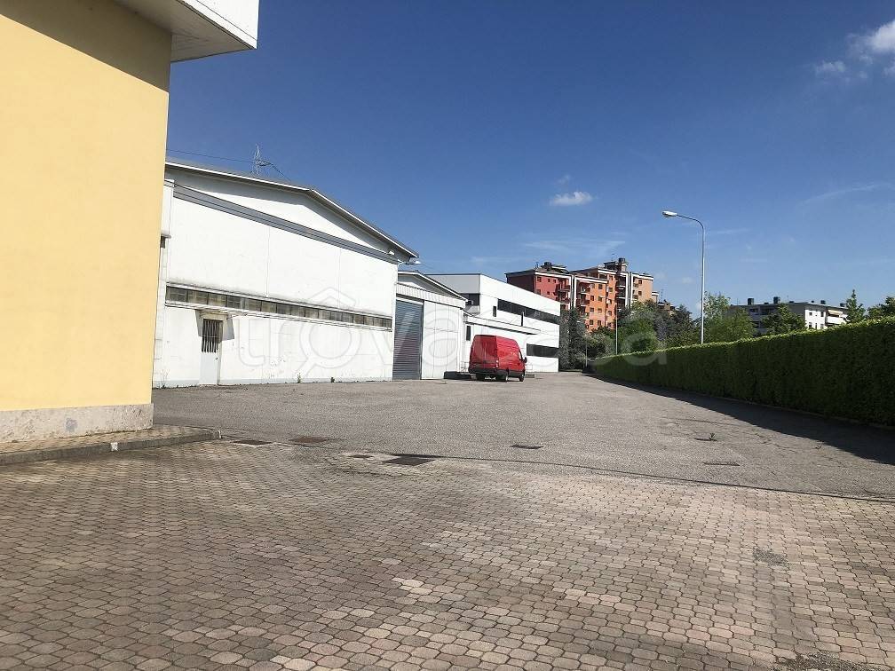 immagine annuncio 3 di 12