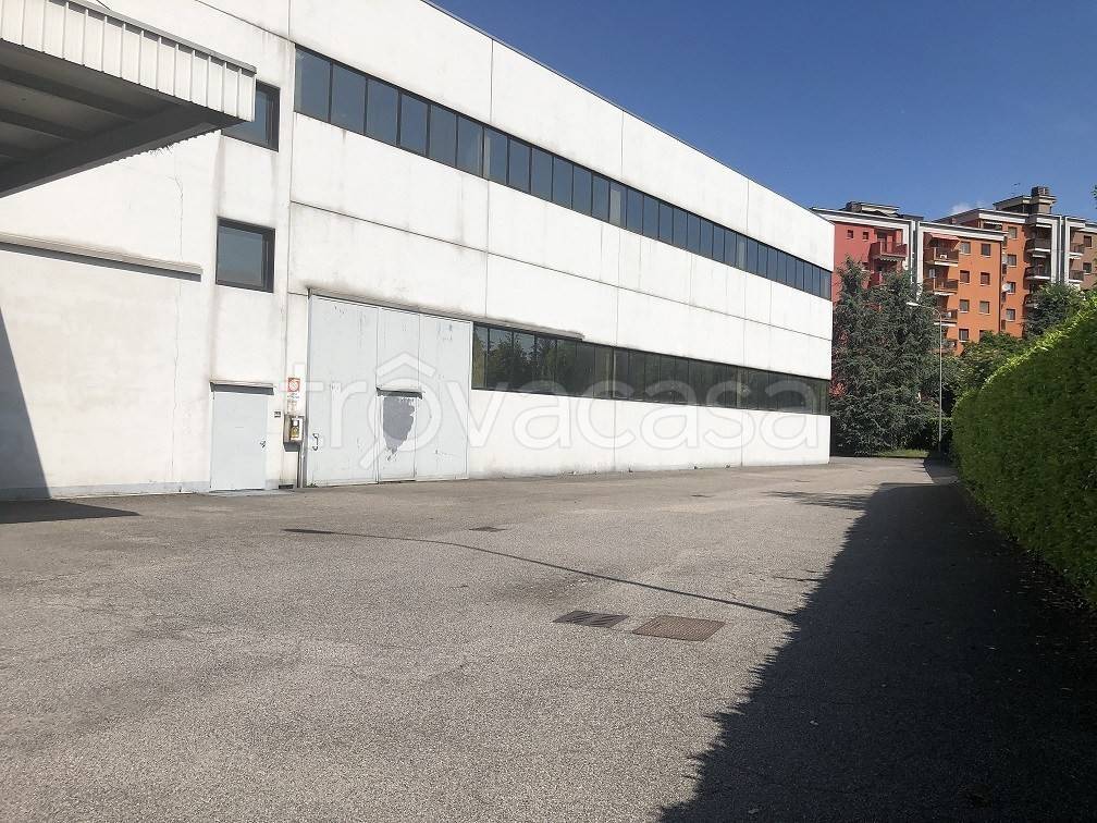 immagine annuncio 5 di 12