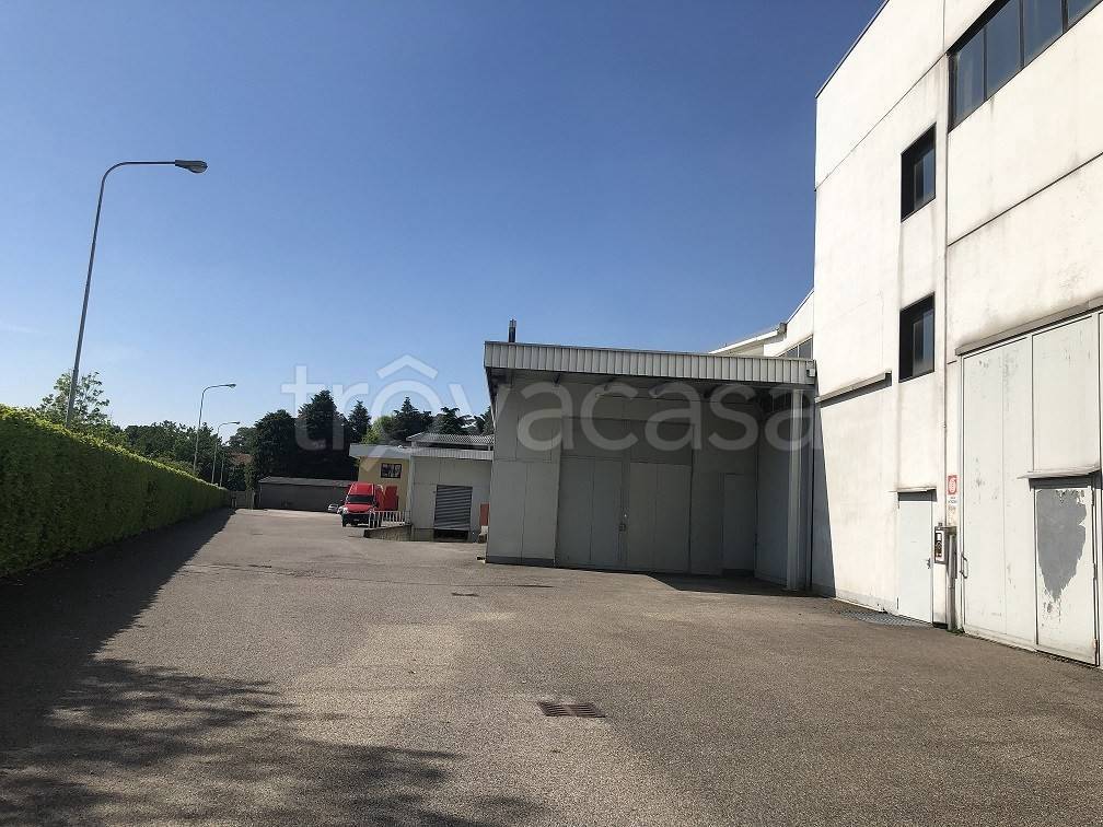 immagine annuncio 6 di 12