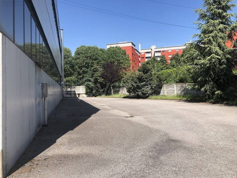 immagine annuncio 7 di 12