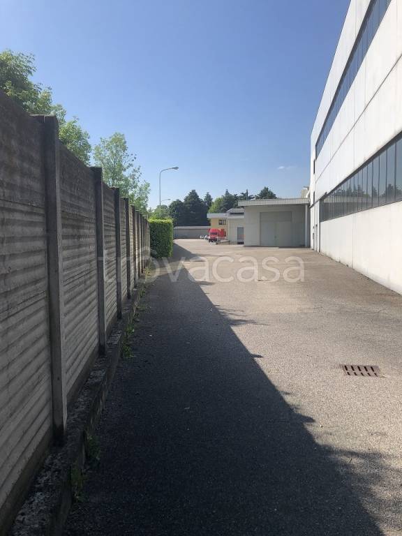 immagine annuncio 8 di 12