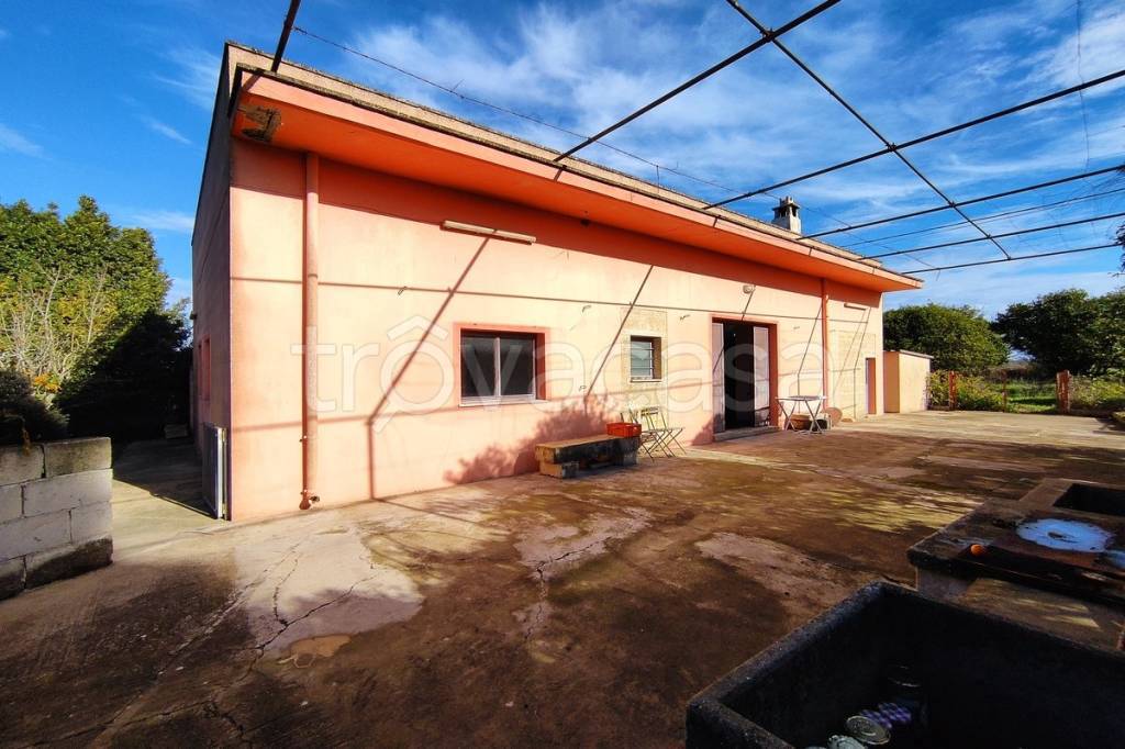 immagine annuncio 10 di 15