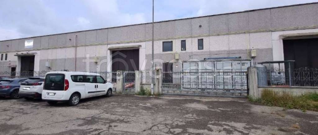 immagine annuncio 2 di 13