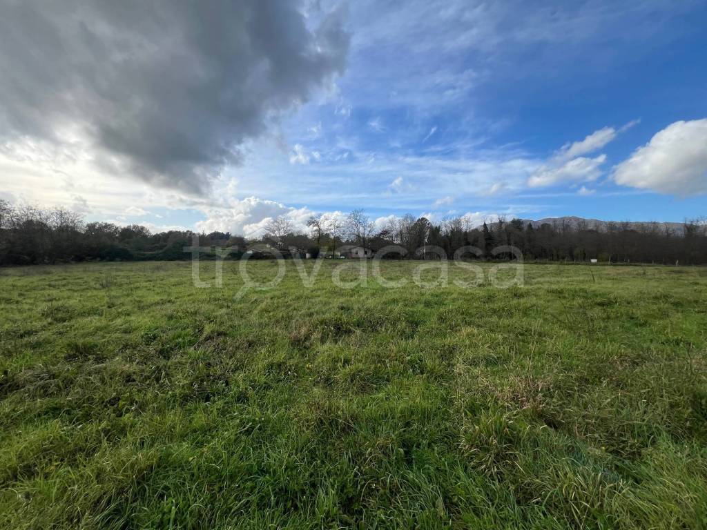 immagine annuncio 3 di 8