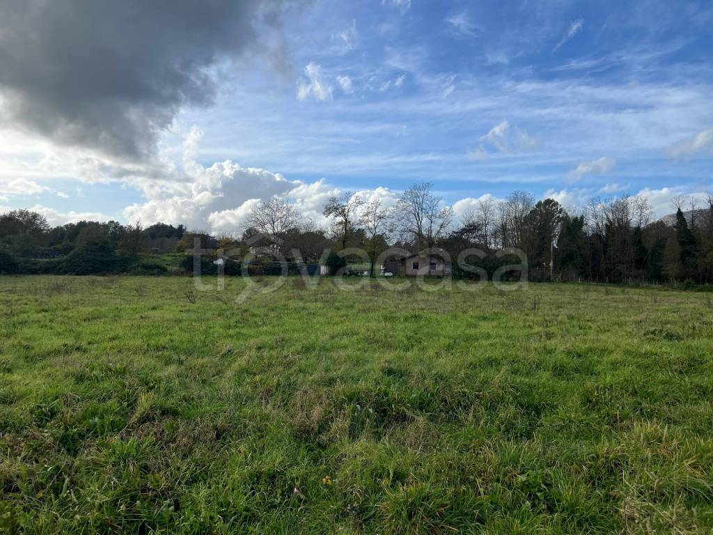 immagine annuncio 4 di 8