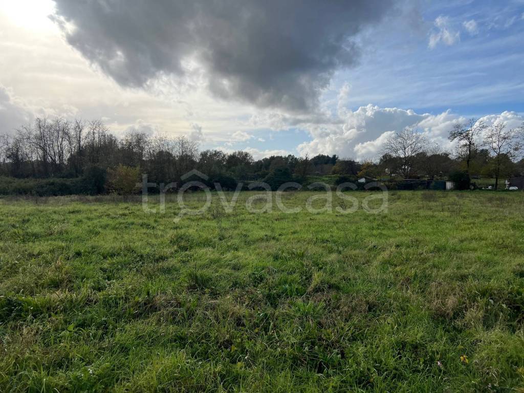 immagine annuncio 5 di 8