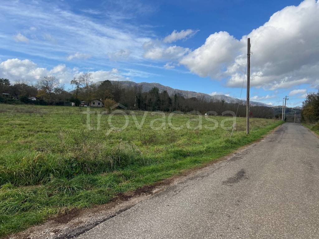 immagine annuncio 6 di 8