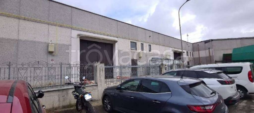 immagine annuncio 3 di 13