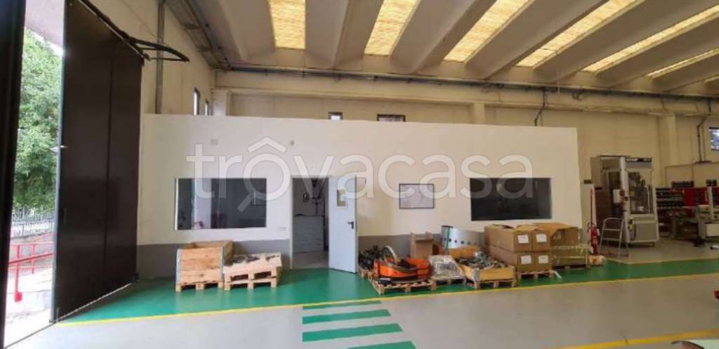 immagine annuncio 4 di 13