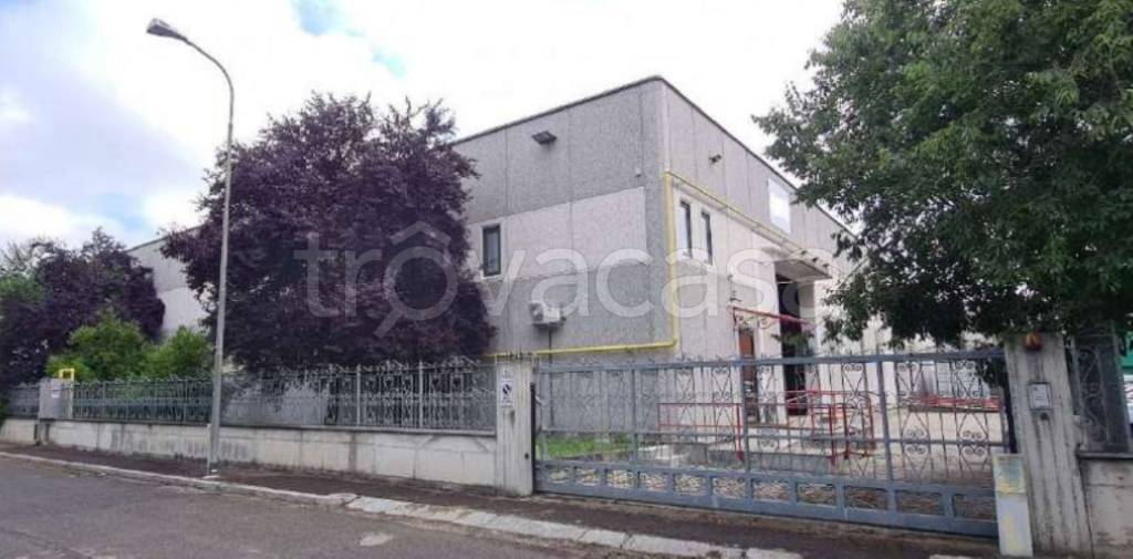 immagine annuncio 5 di 13