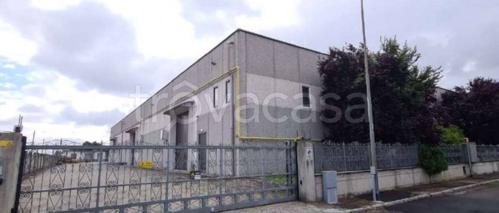 immagine annuncio 6 di 13