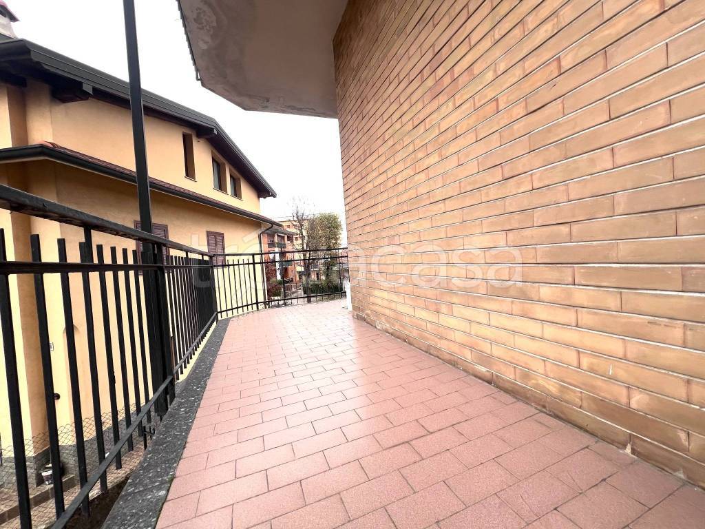 immagine annuncio 12 di 15