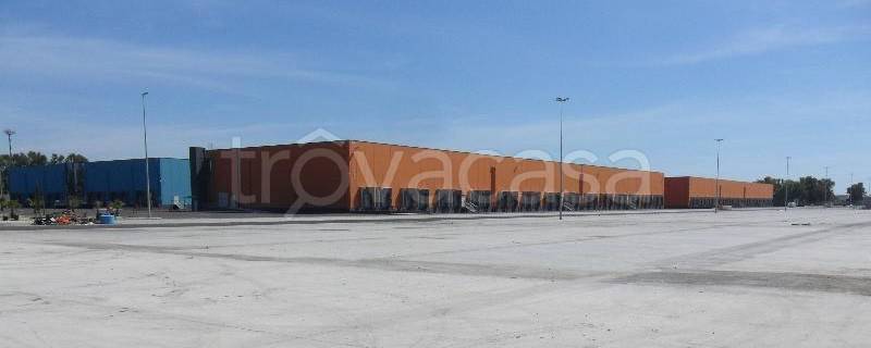 immagine annuncio 3 di 9