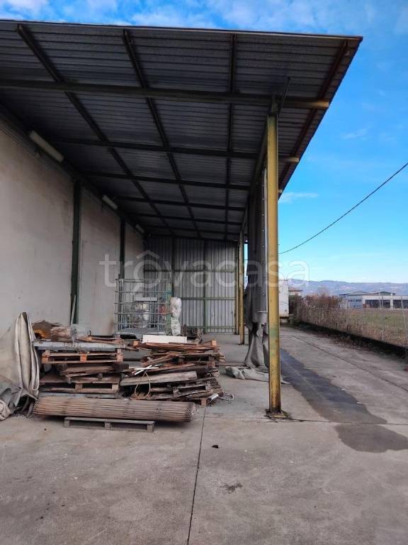 immagine annuncio 1 di 2