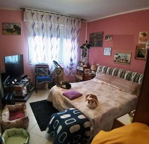 immagine annuncio 2 di 7