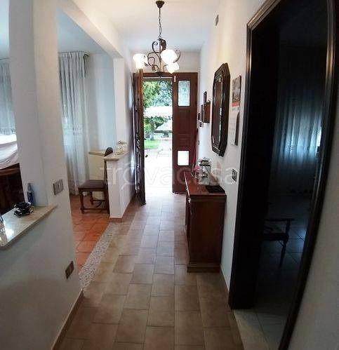 immagine annuncio 5 di 14