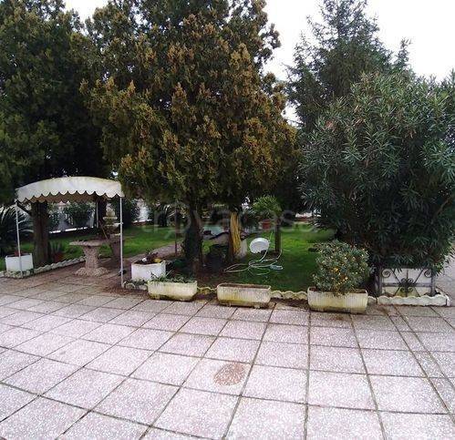 immagine annuncio 7 di 14