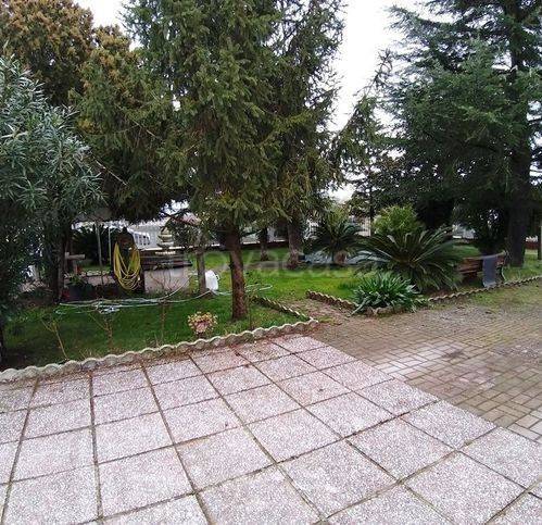 immagine annuncio 9 di 14