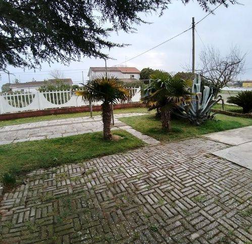 immagine annuncio 10 di 14