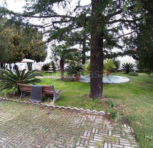 immagine annuncio 11 di 14