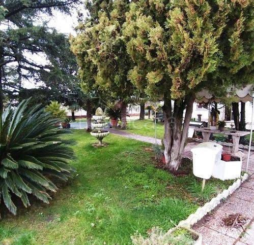 immagine annuncio 13 di 14