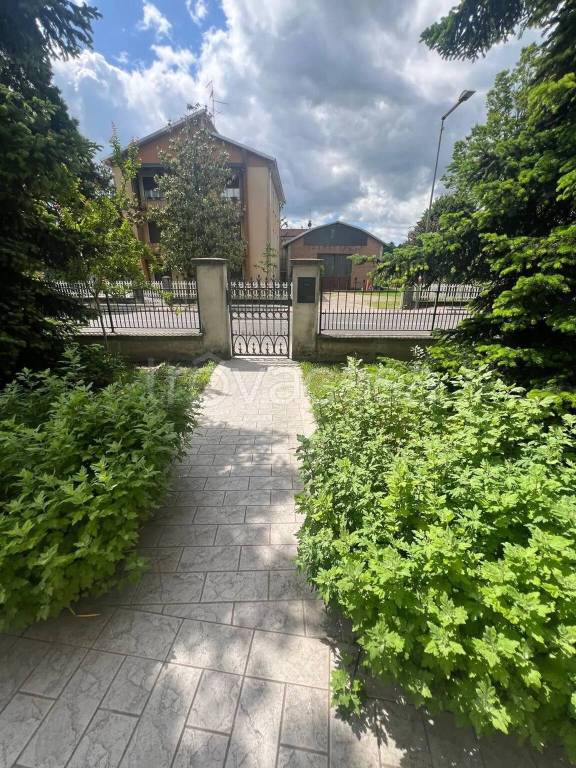 immagine annuncio 2 di 14