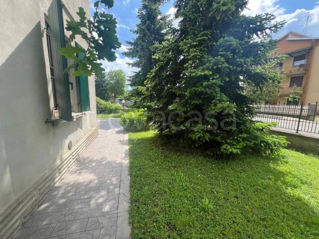 immagine annuncio 12 di 14