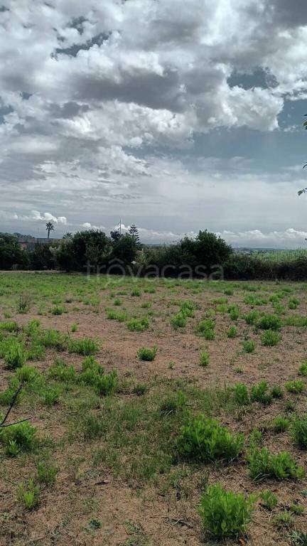 immagine annuncio 3 di 7