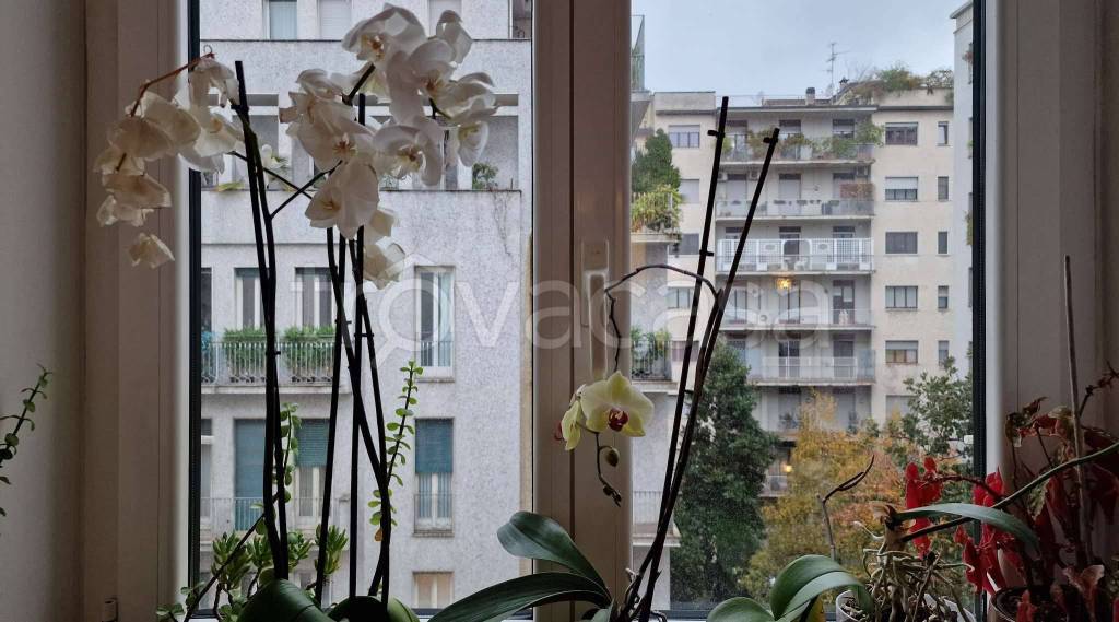 immagine annuncio 9 di 14