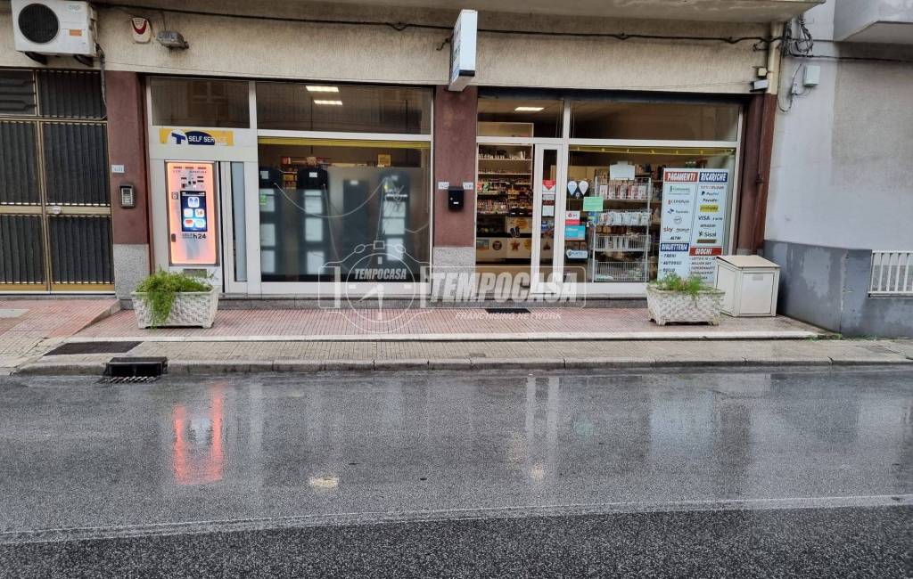 immagine annuncio 5 di 14