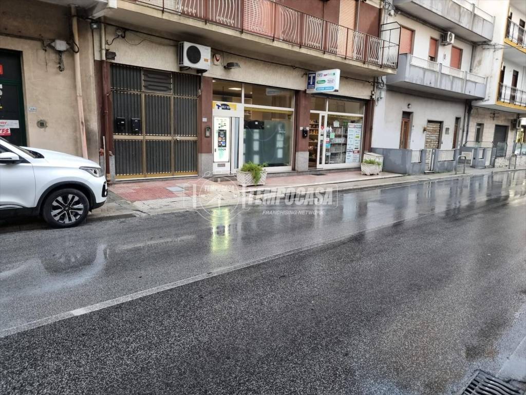 immagine annuncio 11 di 14