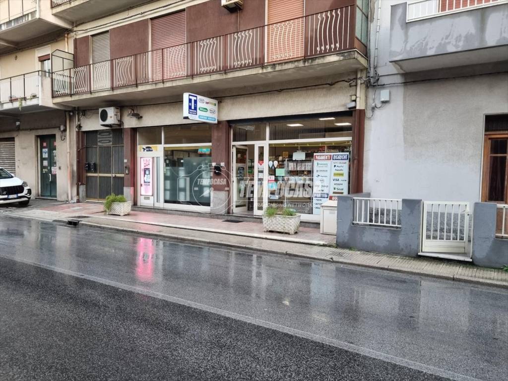 immagine annuncio 12 di 14