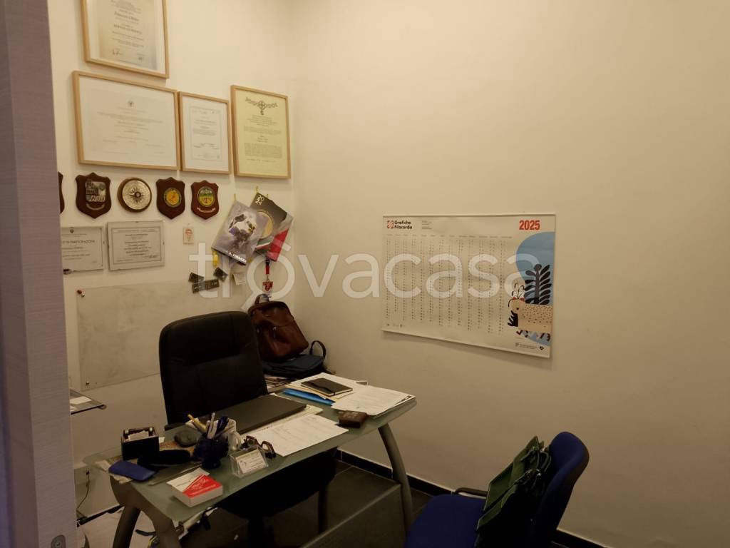 immagine annuncio 8 di 12