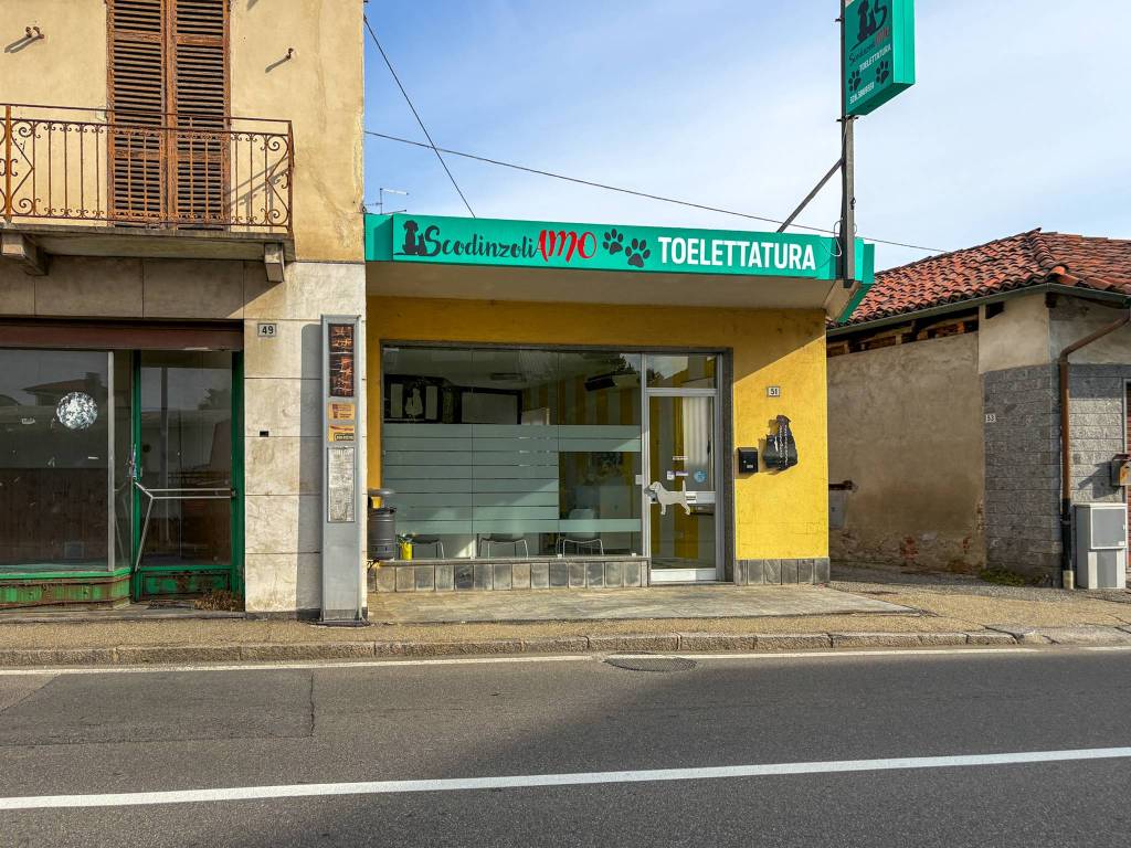 immagine annuncio 1 di 11