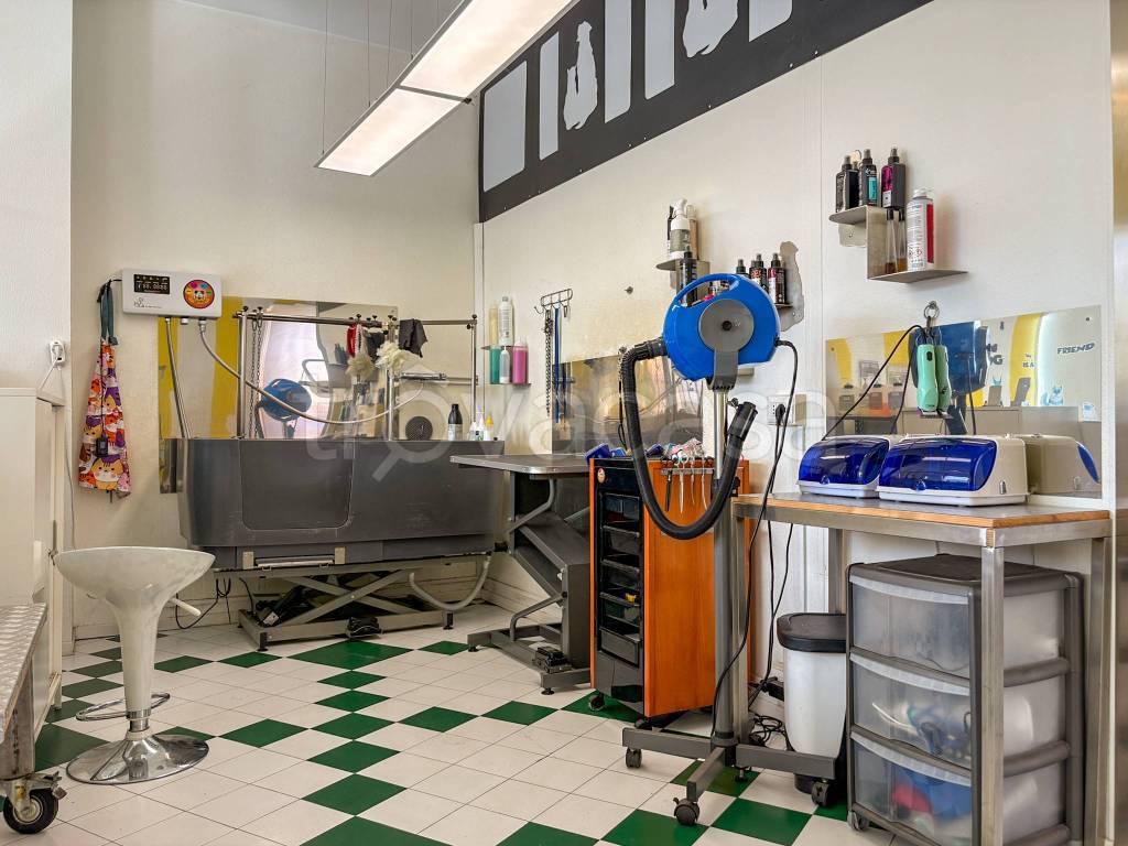 immagine annuncio 4 di 11