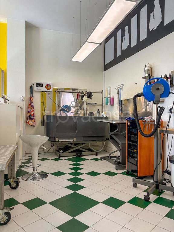 immagine annuncio 5 di 11