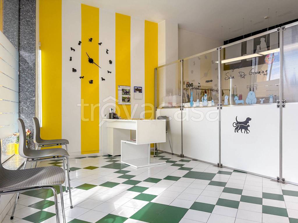 immagine annuncio 3 di 11