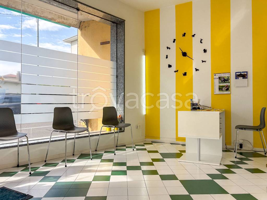 immagine annuncio 2 di 11