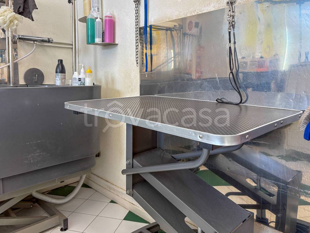 immagine annuncio 7 di 11