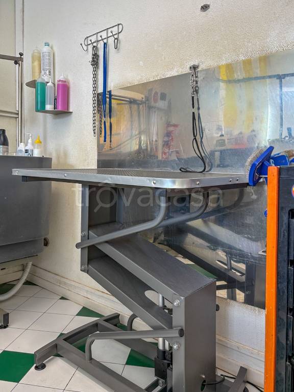 immagine annuncio 6 di 11