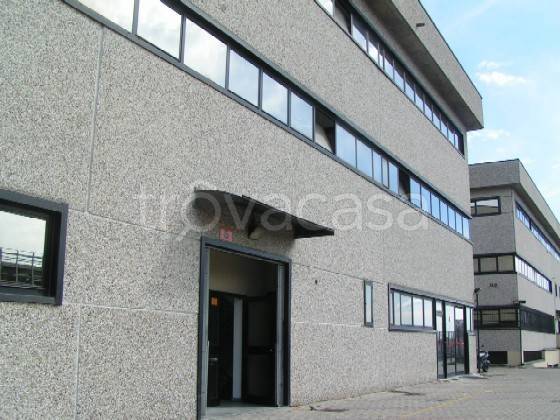 immagine annuncio 7 di 12