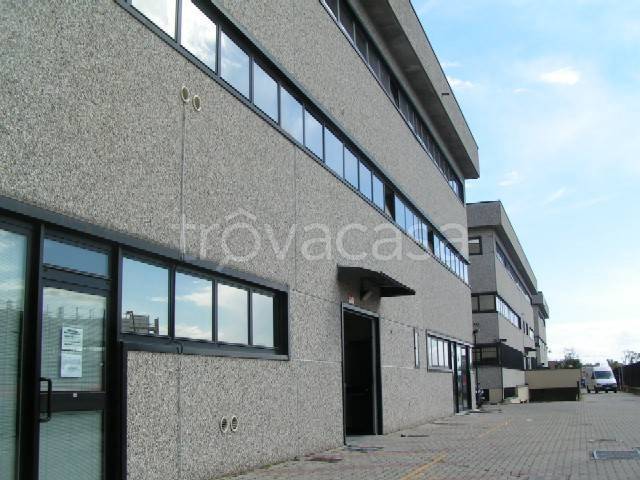 immagine annuncio 11 di 12