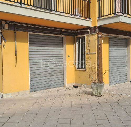 immagine annuncio 3 di 9