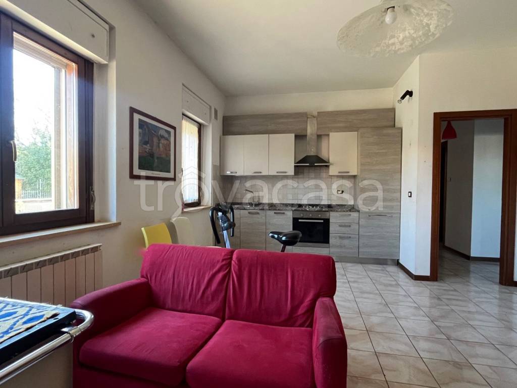 immagine annuncio 6 di 15