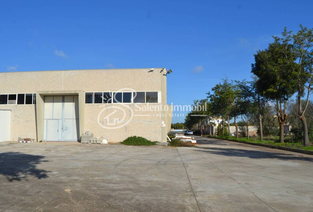 immagine annuncio 10 di 15