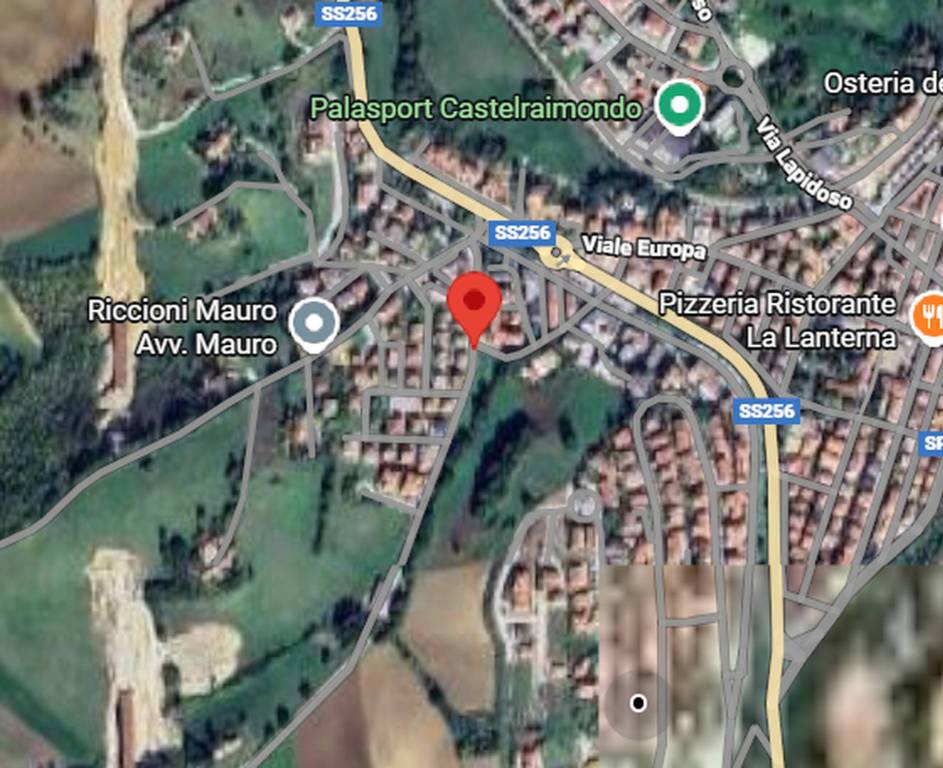 immagine annuncio 6 di 11