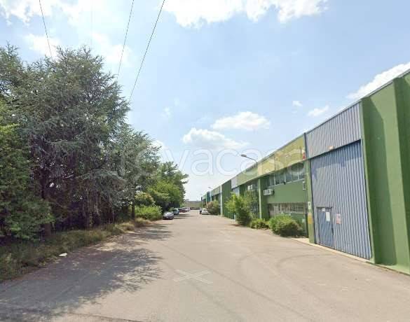 immagine annuncio 1 di 12