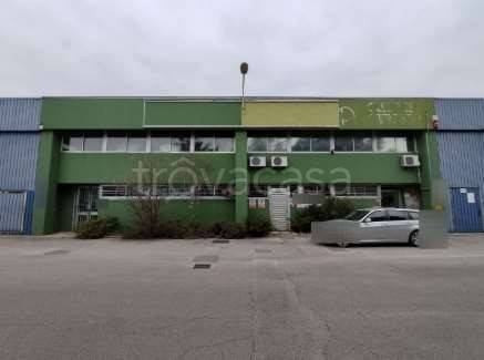 immagine annuncio 2 di 12