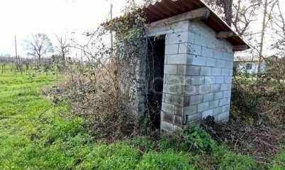 immagine annuncio 5 di 13